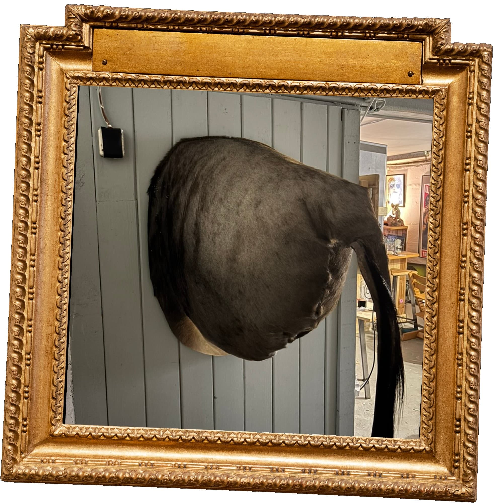 Gnu-Rauå — bakenden innramma i gull